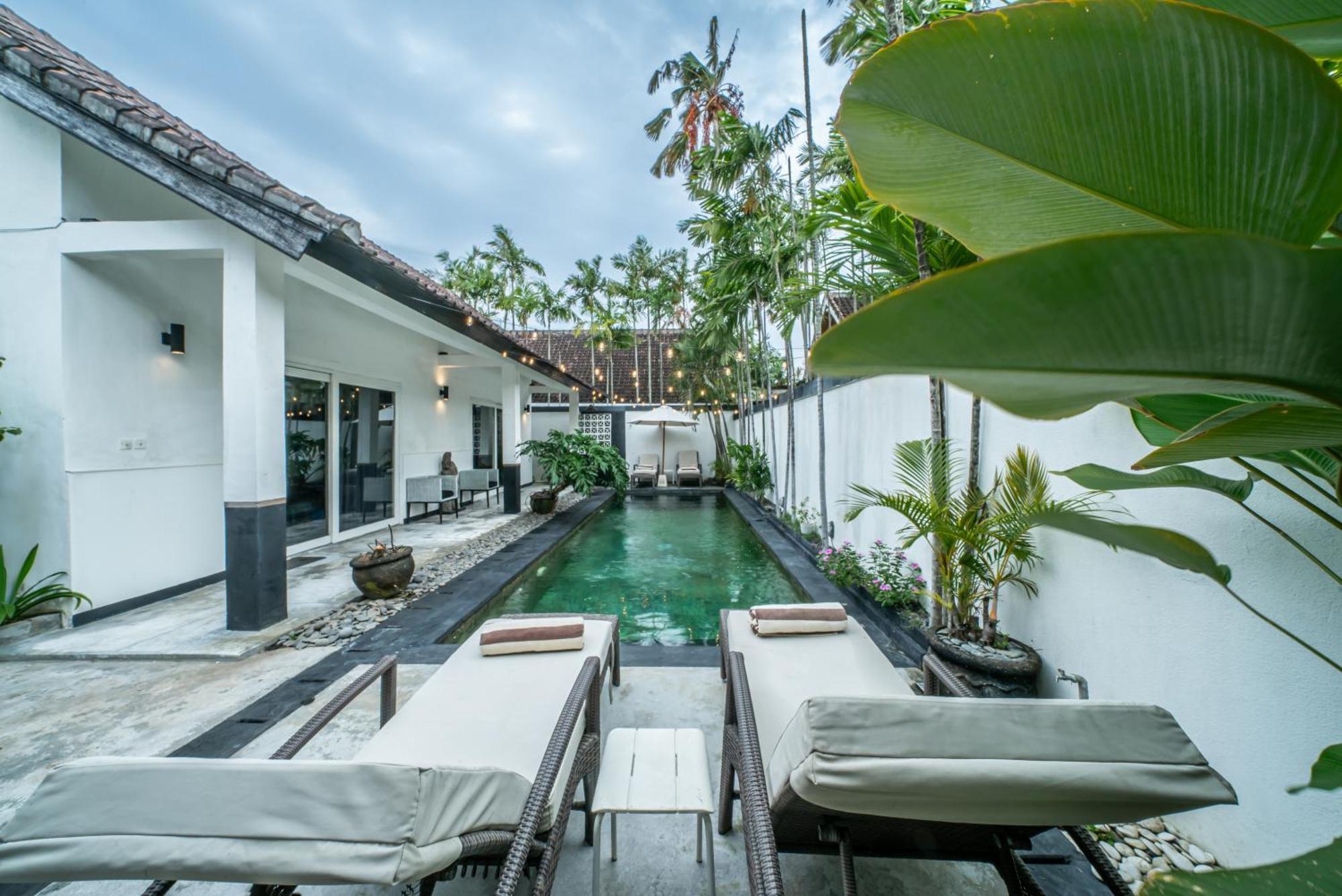 Zebra Walking Distance To Potato Head * Seminyak (Bali)