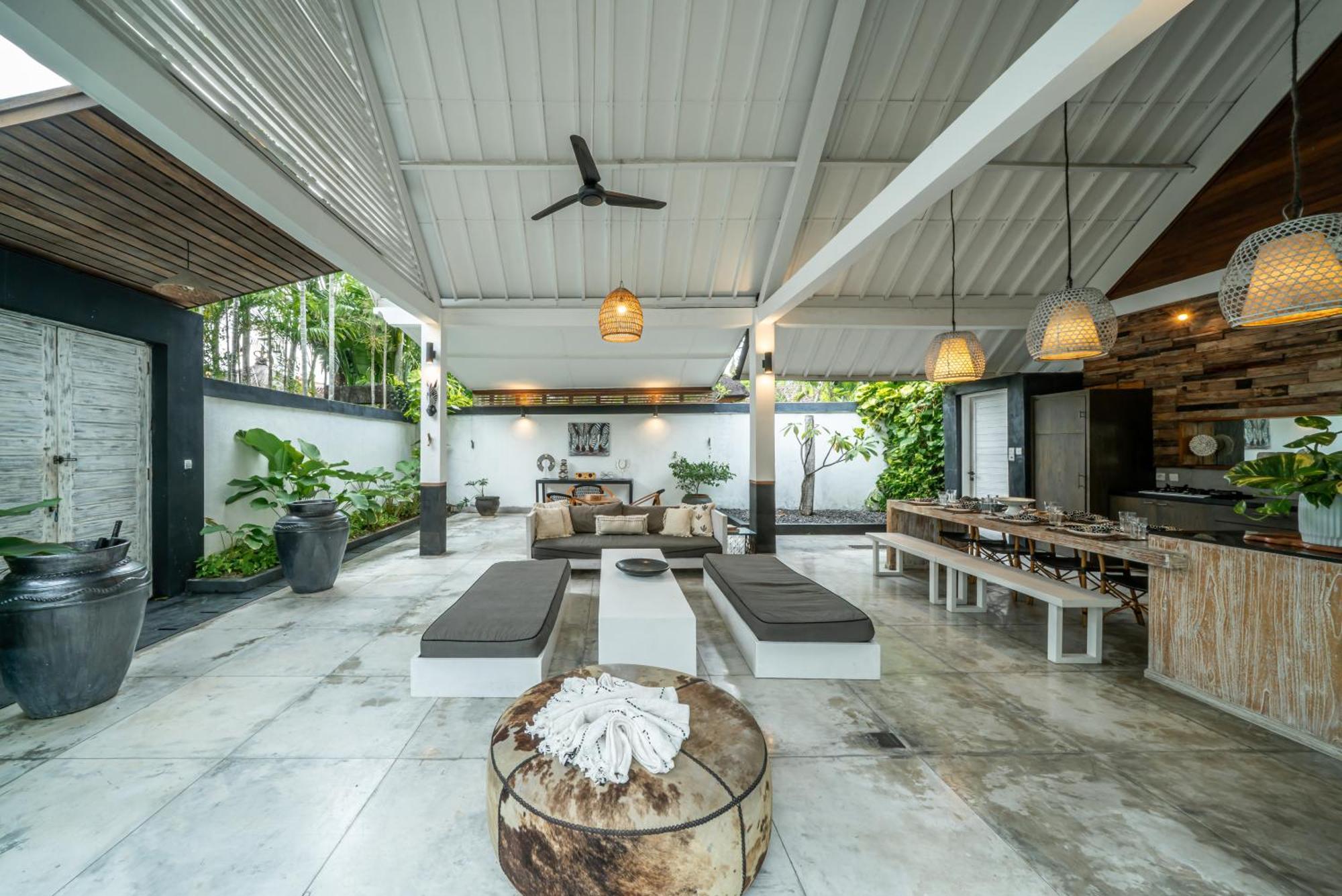 Zebra Walking Distance To Potato Head Seminyak (Bali)