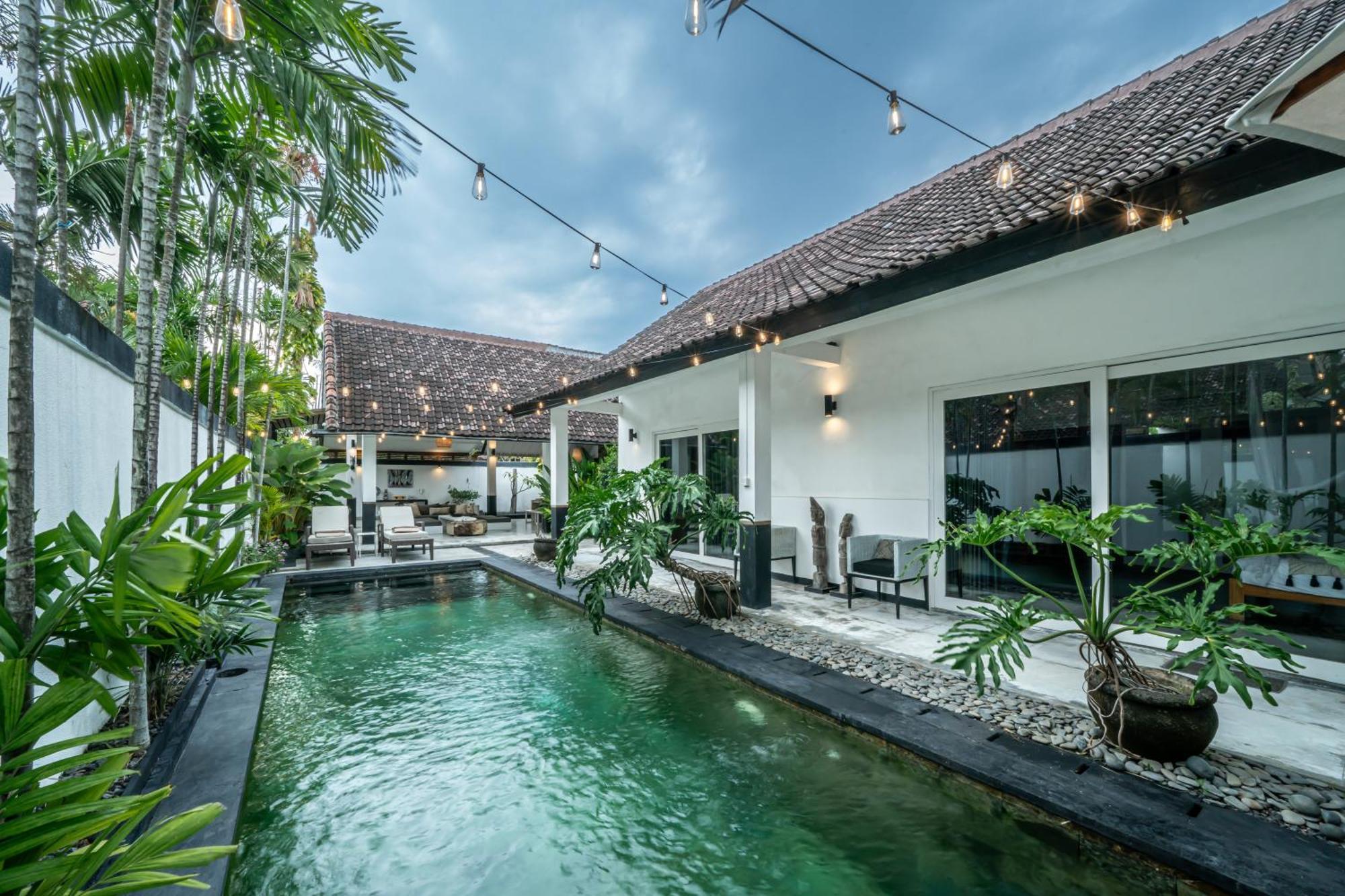 Zebra Walking Distance To Potato Head Villa Seminyak (Bali)