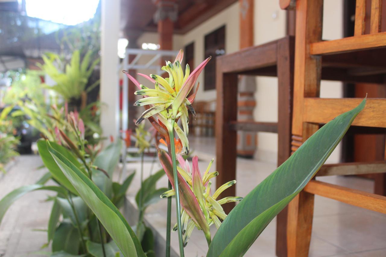 Js Rumah tetamu Seminyak (Bali)