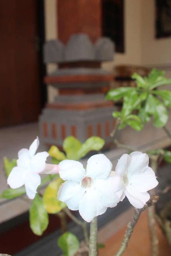 Js Rumah tetamu *