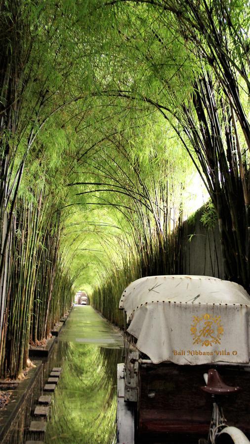 The Nibbana Villa *