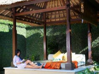 Bali Baik Villa *