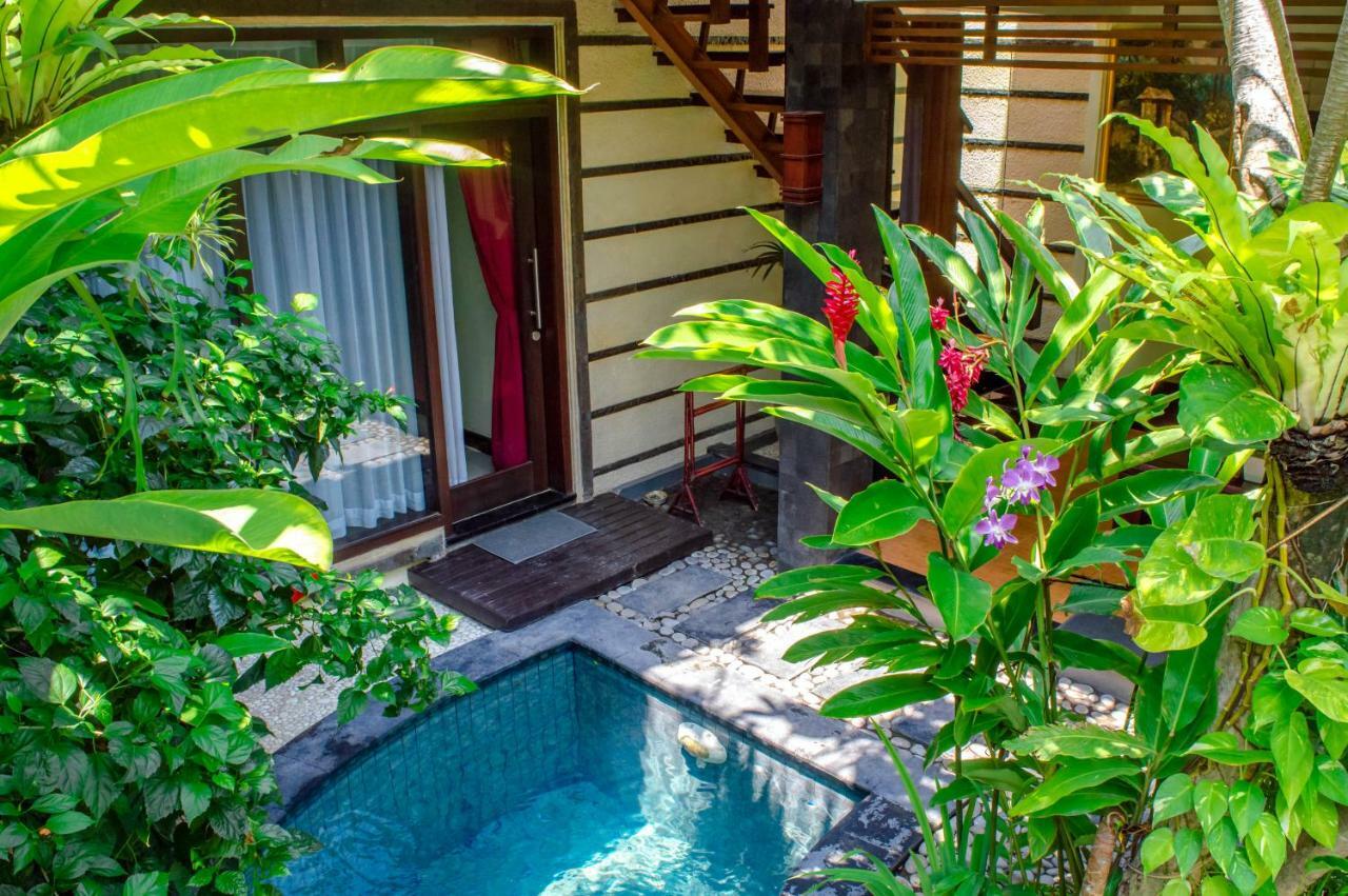 Villa The Bali Dream *