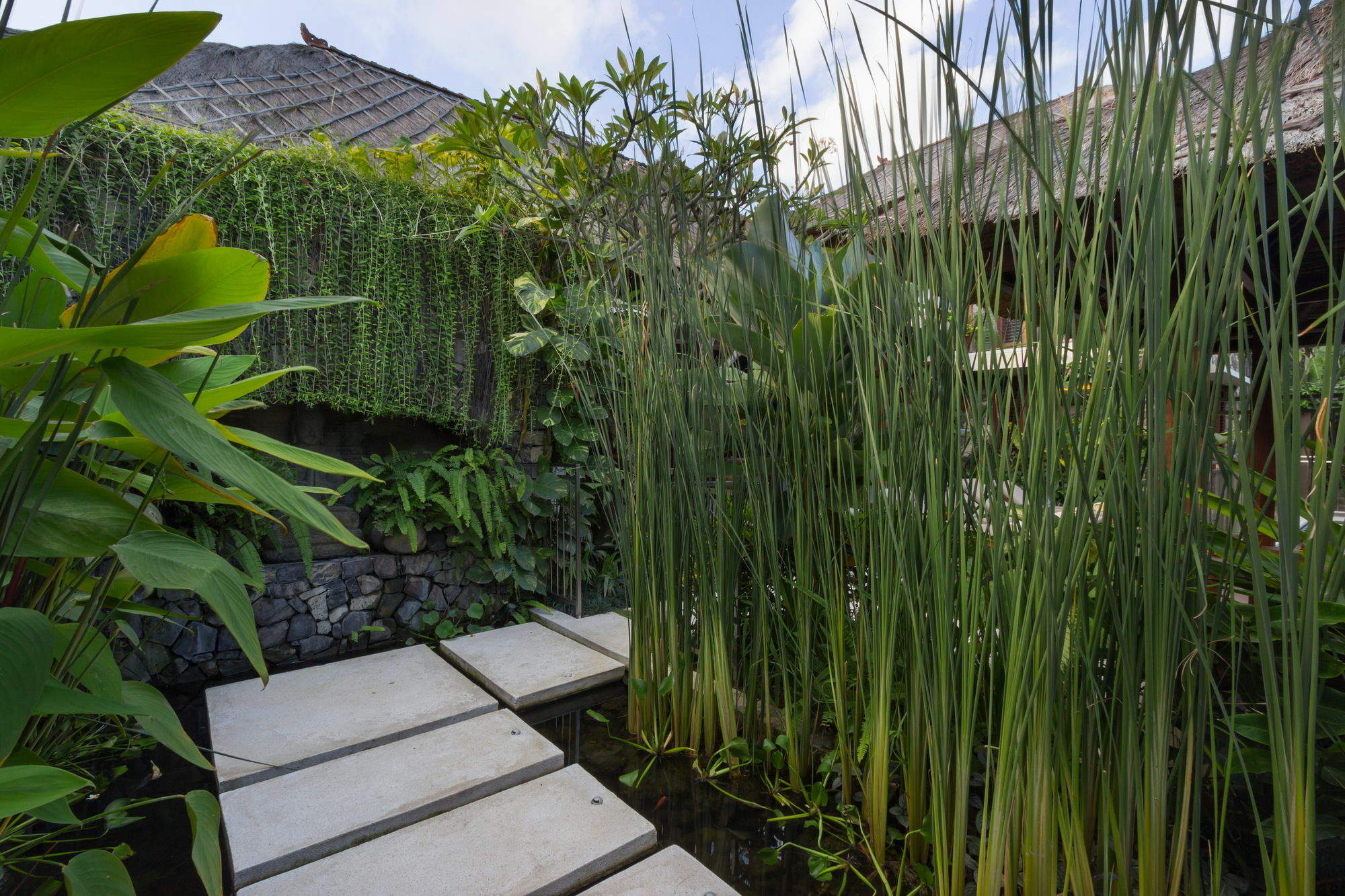 Suar * Seminyak (Bali)