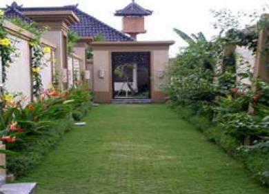 Heliconia Seminyak