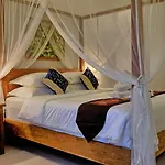 Sarayu Villa