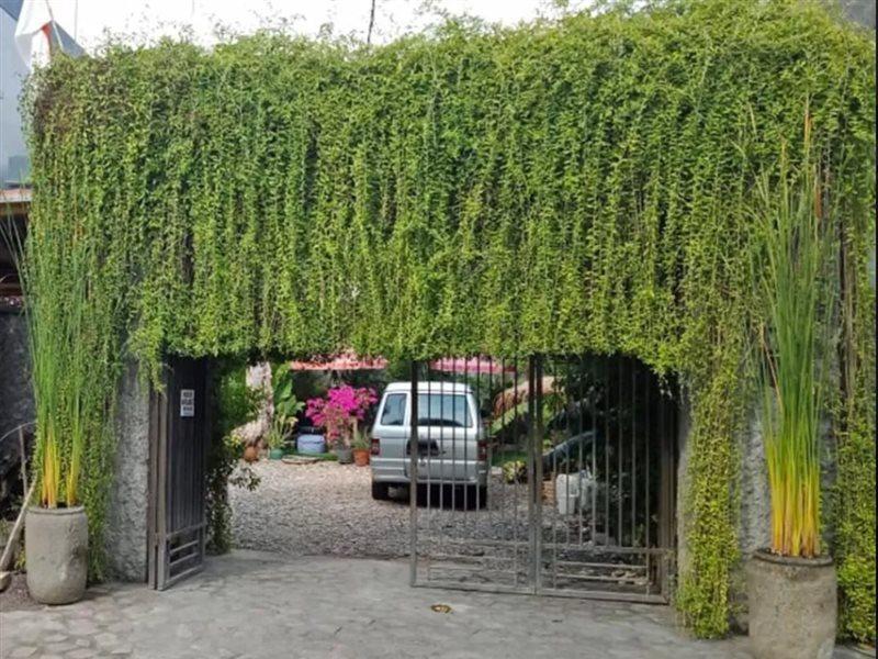Hotel Oyo 3901 Kubu Kenak