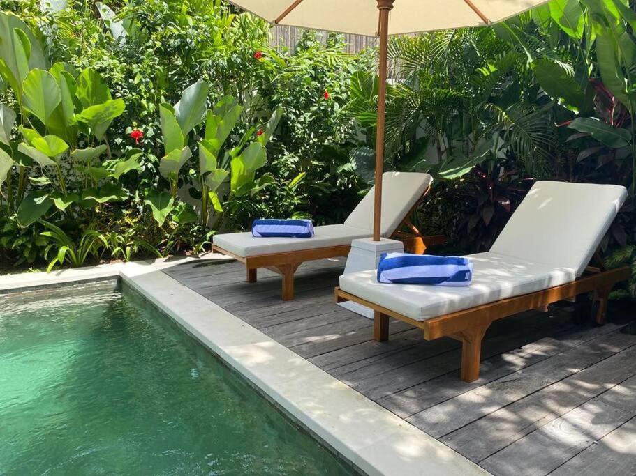 Savvy Villa, A Tranquil Oasis & Walk To The Villa