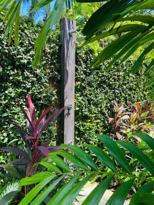 Villa Savvy Villa, A Tranquil Oasis & Walk To The