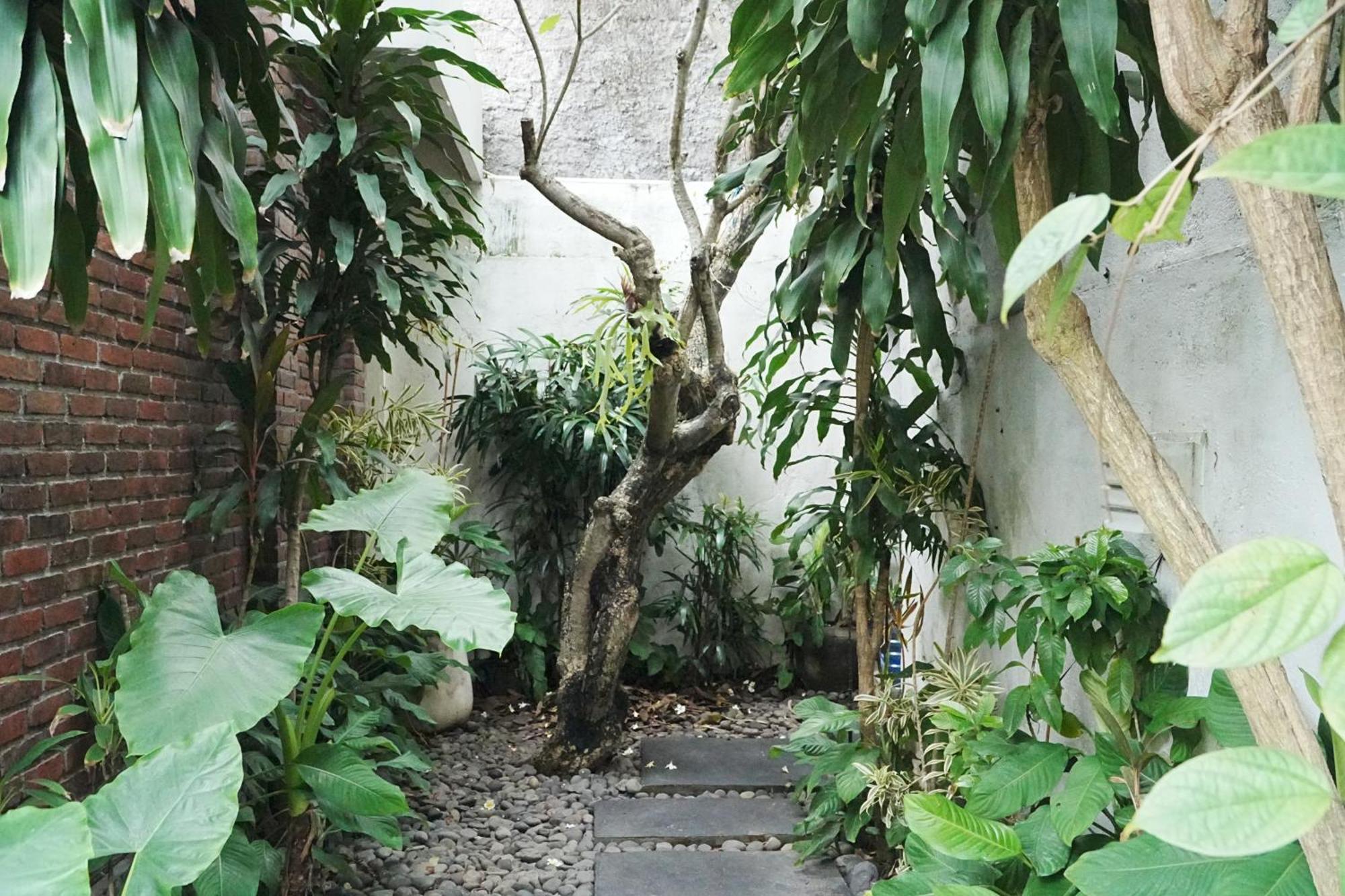 Forena * Seminyak (Bali)