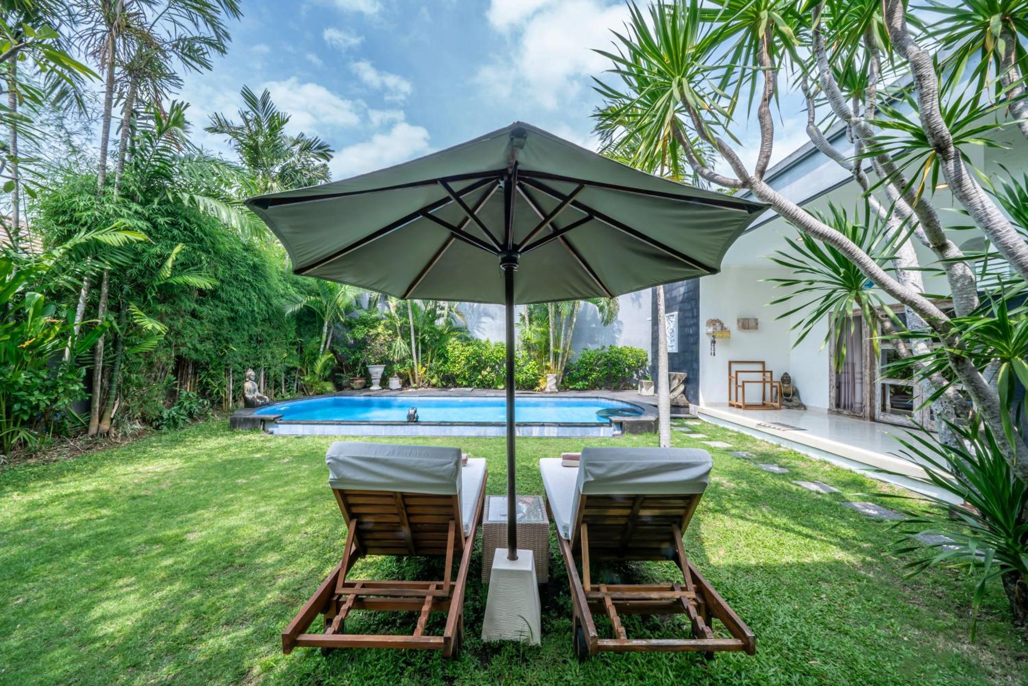 Kangaroo Next To Double Six * Seminyak (Bali)