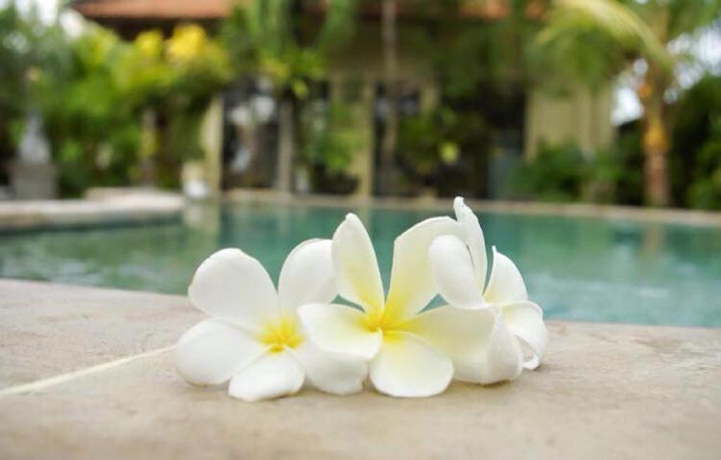 Chandra 3* Seminyak (Bali)