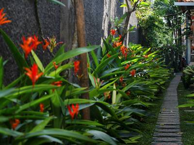 Hotel Lotus Tirta 3*
