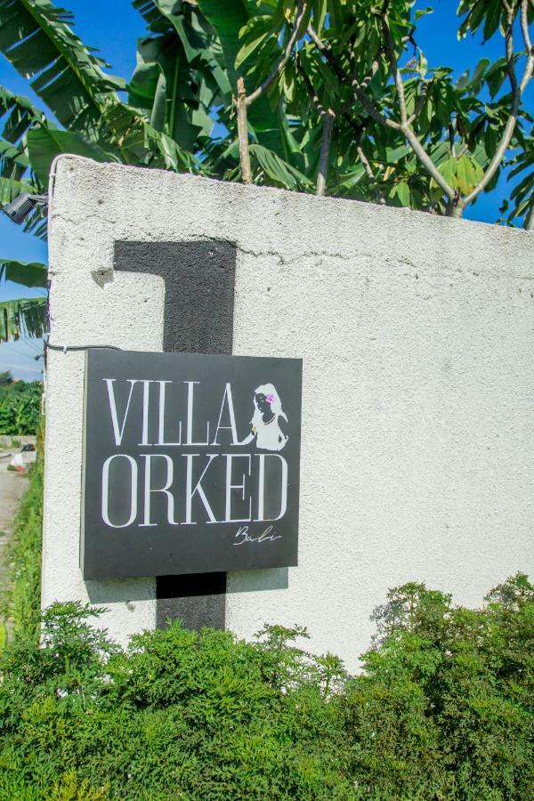 Orked 1