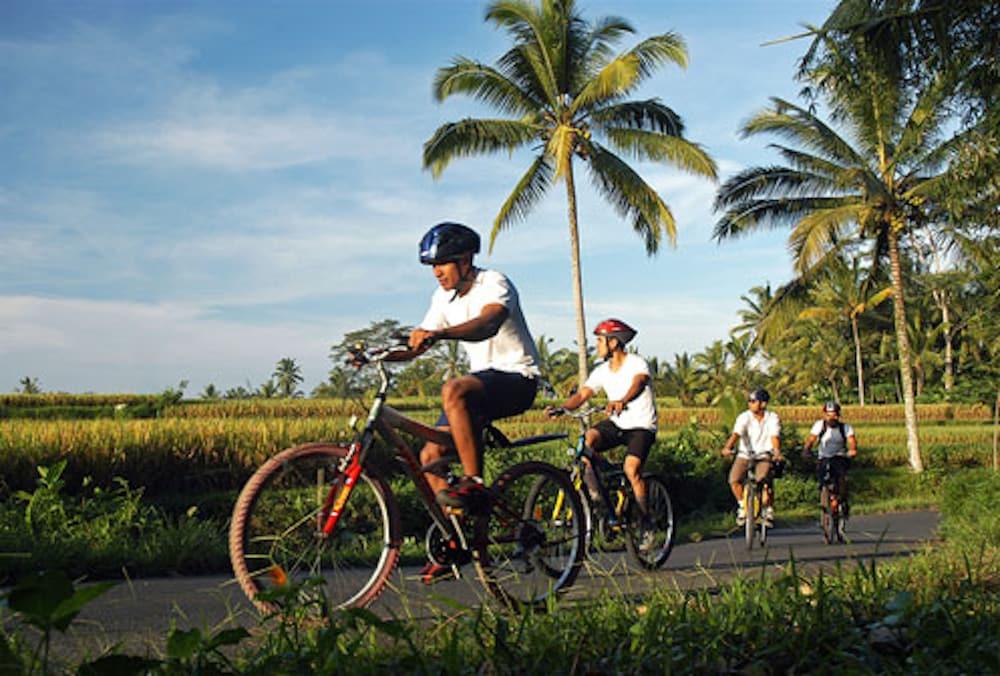 Mawar Estate Seminyak (Bali)