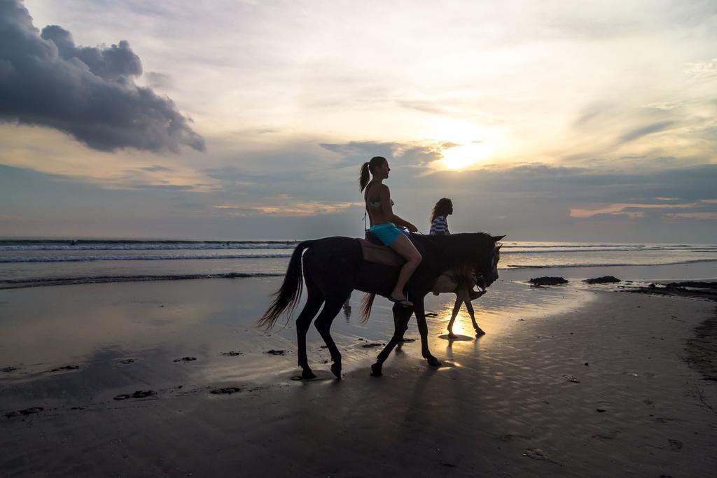Puri Wisata Balinese Style Nhà khách Seminyak (Bali)
