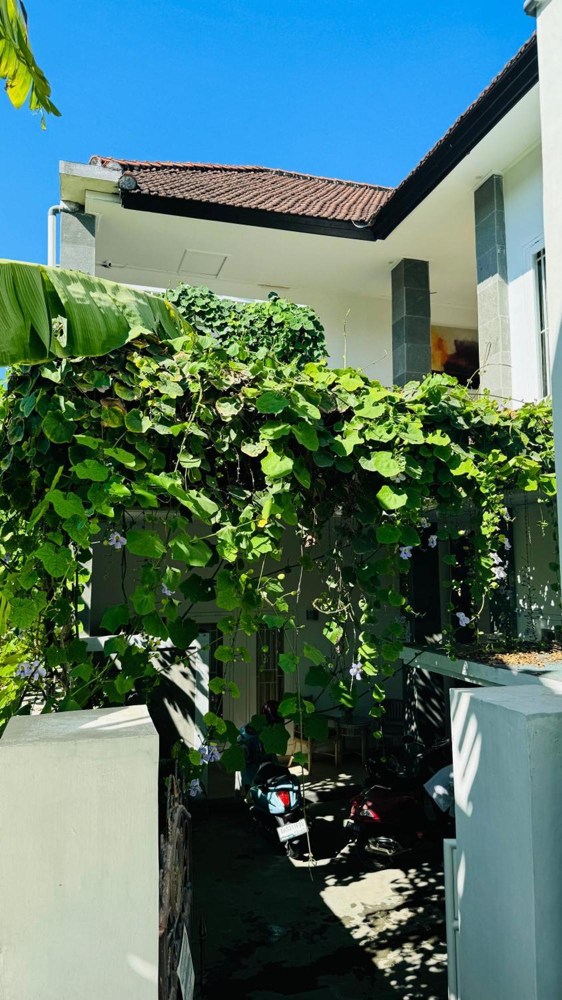 Adijaya * Seminyak (Bali)