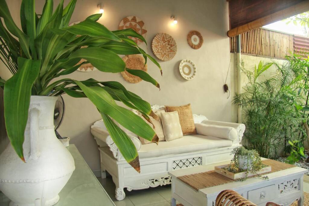Paradise Found 250m From The Villa