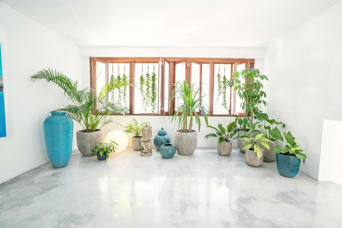Sassy - Private Oasis - Elle Decor Award Winner
