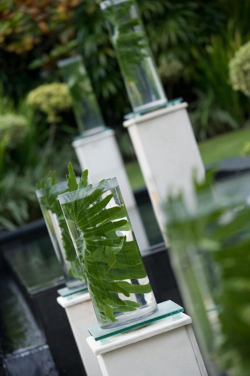 Biệt thự The Kunja Villa-hotel