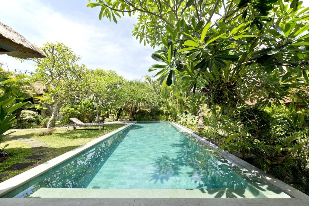 Bali Aja