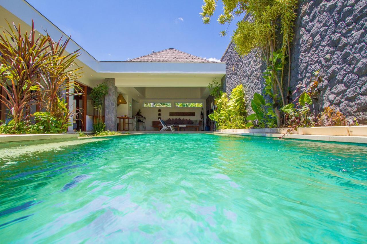 Vishuddha Ajna - Outstanding 2 Bdr - Great Location!