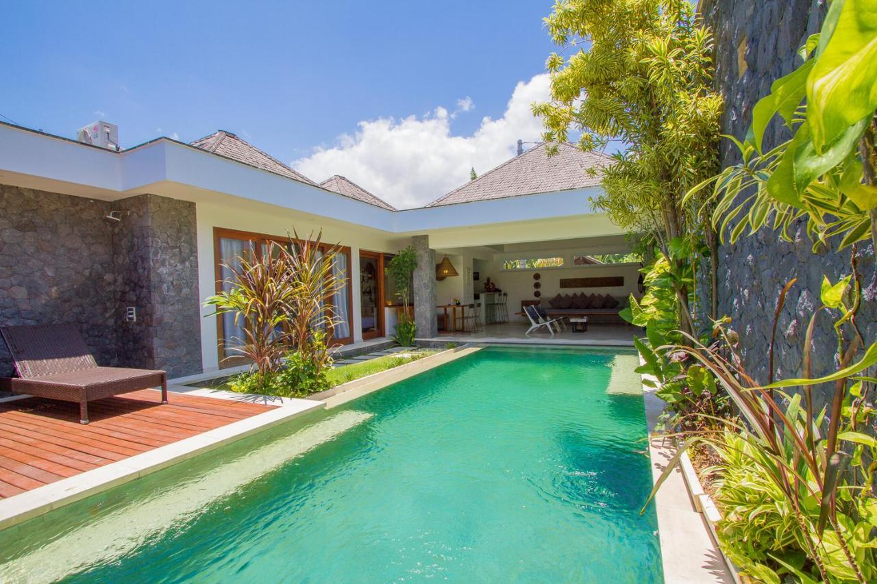 Vishuddha Ajna - Outstanding 2 Bdr - Great Location!
